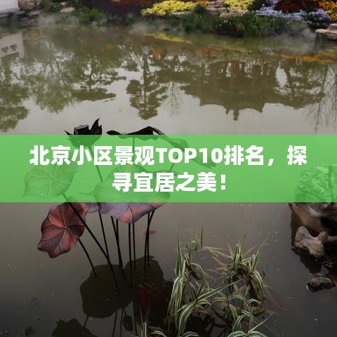 北京小区景观TOP10排名，探寻宜居之美！