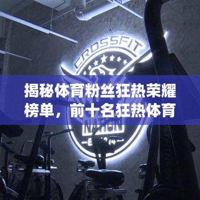 揭秘体育粉丝狂热荣耀榜单，前十名狂热体育迷的激情与荣耀展现！