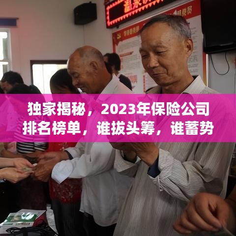 独家揭秘，2023年保险公司排名榜单，谁拔头筹，谁蓄势待发？