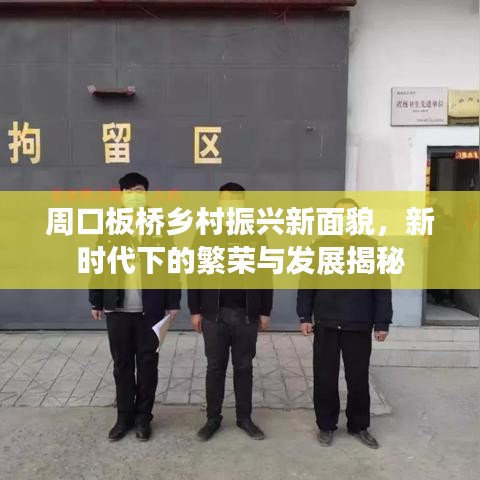 周口板桥乡村振兴新面貌，新时代下的繁荣与发展揭秘