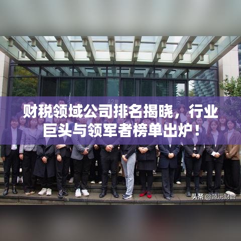 财税领域公司排名揭晓，行业巨头与领军者榜单出炉！