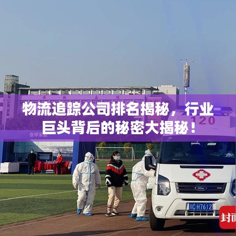 物流追踪公司排名揭秘，行业巨头背后的秘密大揭秘！