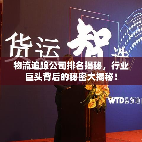 物流追踪公司排名揭秘,行业巨头背后的秘密大揭秘!