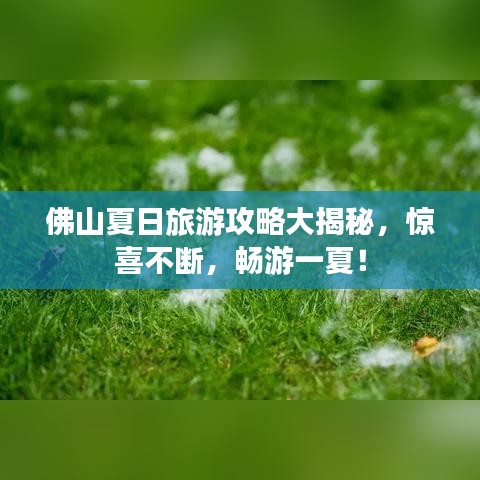 佛山夏日旅游攻略大揭秘，惊喜不断，畅游一夏！