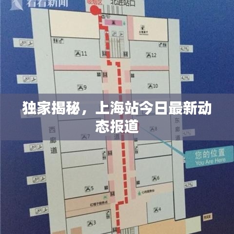 独家揭秘，上海站今日最新动态报道