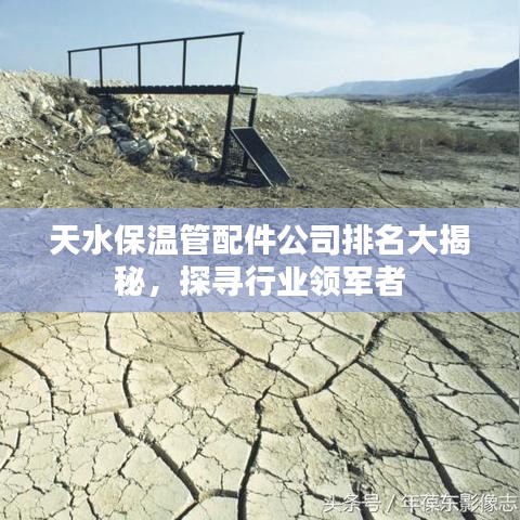 天水保温管配件公司排名大揭秘，探寻行业领军者