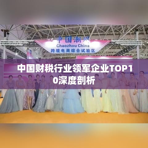 中国财税行业领军企业TOP10深度剖析