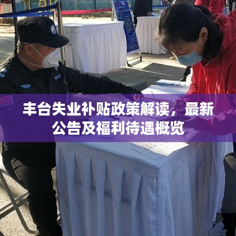 纲挈目张 第10页