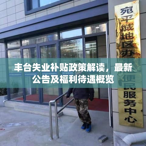 丰台失业补贴政策解读,最新公告及福利待遇概览