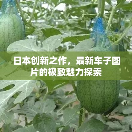 日本创新之作，最新车子图片的极致魅力探索