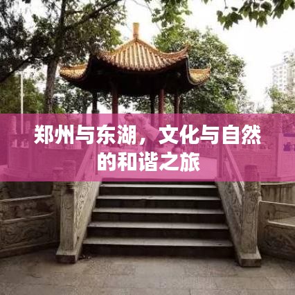 郑州与东湖，文化与自然的和谐之旅