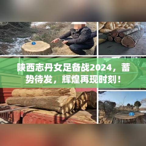 陕西志丹女足备战2024，蓄势待发，辉煌再现时刻！