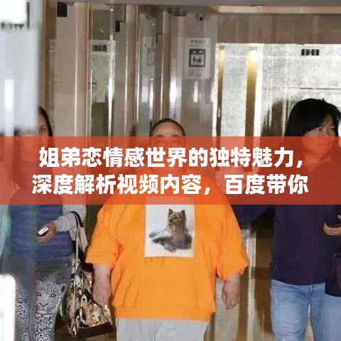 姐弟恋情感世界的独特魅力,深度解析视频内容,百度带你领略深意