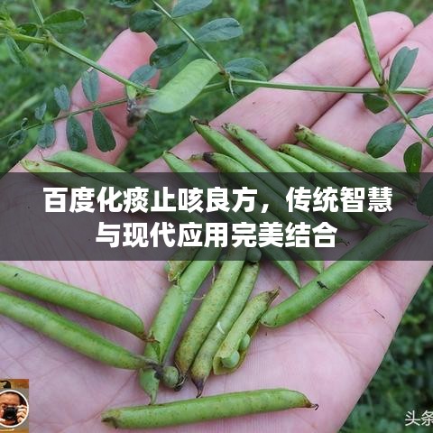 百度化痰止咳良方，传统智慧与现代应用完美结合