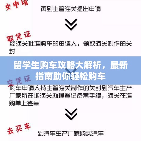 留学生购车攻略大解析,最新指南助你轻松购车