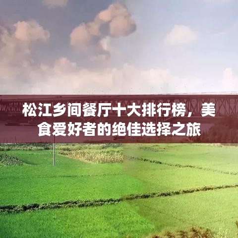 松江乡间餐厅十大排行榜,美食爱好者的绝佳选择之旅