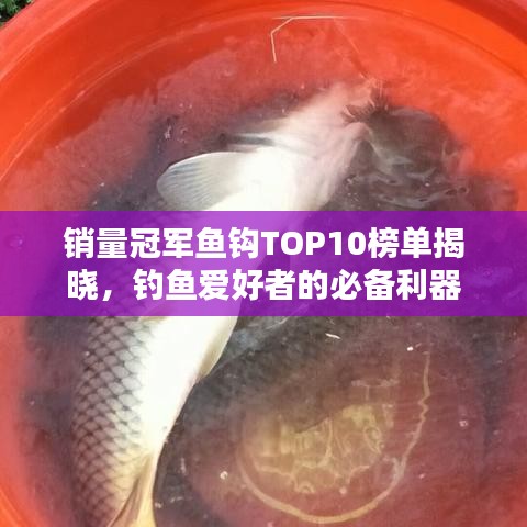 销量冠军鱼钩TOP10榜单揭晓，钓鱼爱好者的必备利器