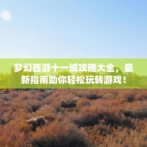 梦幻西游十一城攻略大全,最新指南助你轻松玩转游戏!