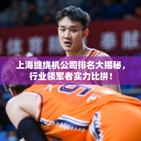 上海缠绕机公司排名大揭秘，行业领军者实力比拼！