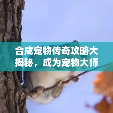 合成宠物传奇攻略大揭秘，成为宠物大师之路最新指南