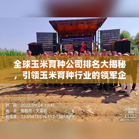 全球玉米育种公司排名大揭秘，引领玉米育种行业的领军企业