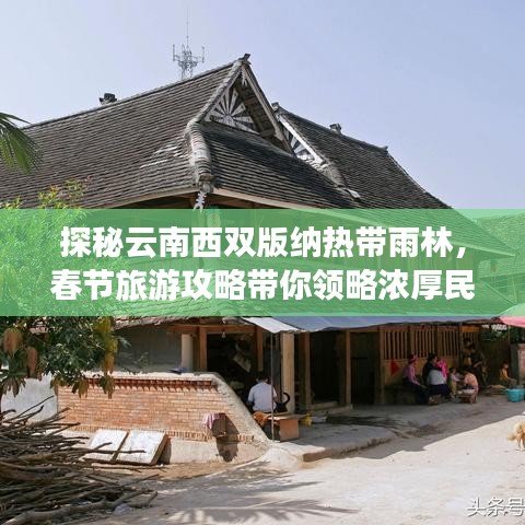 探秘云南西双版纳热带雨林，春节旅游攻略带你领略浓厚民俗风情！