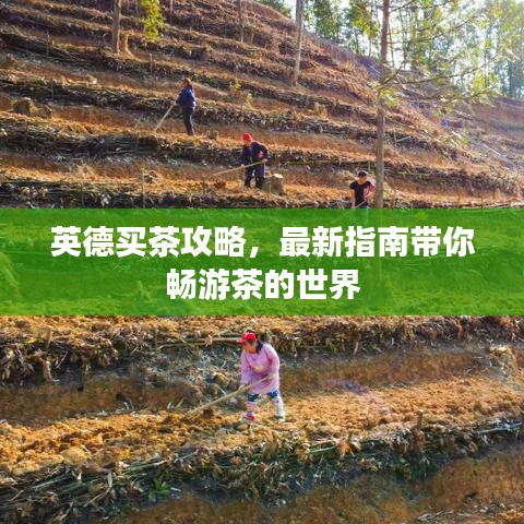 展翅高飞 第9页