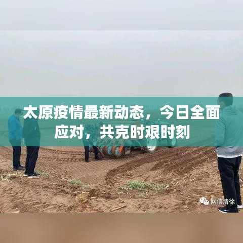 太原疫情最新动态，今日全面应对，共克时艰时刻