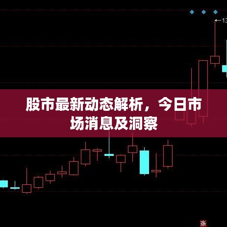 股市最新动态解析，今日市场消息及洞察