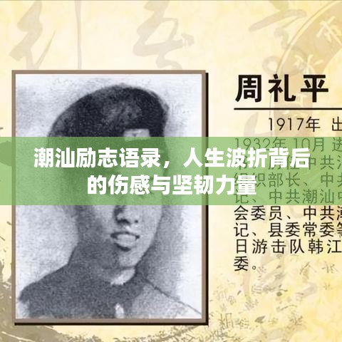 潮汕励志语录,人生波折背后的伤感与坚韧力量