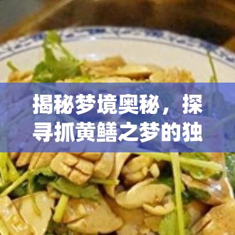 揭秘梦境奥秘，探寻抓黄鳝之梦的独特解读