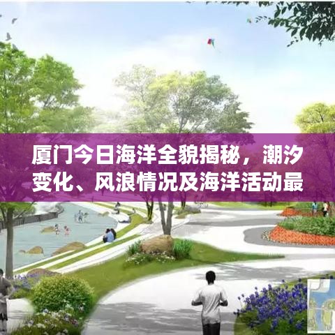 厦门今日海洋全貌揭秘，潮汐变化、风浪情况及海洋活动最新消息