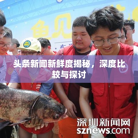 头条新闻新鲜度揭秘,深度比较与探讨