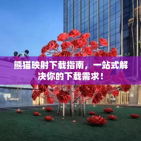 熊猫映射下载指南,一站式解决你的下载需求!