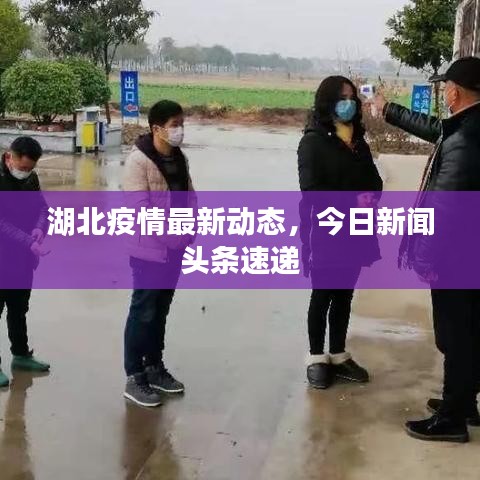 湖北疫情最新动态，今日新闻头条速递