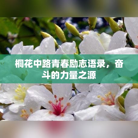 桐花中路青春励志语录，奋斗的力量之源