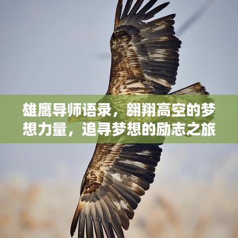 雄鹰导师语录，翱翔高空的梦想力量，追寻梦想的励志之旅