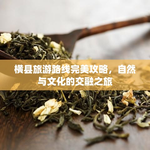 横县旅游路线完美攻略，自然与文化的交融之旅