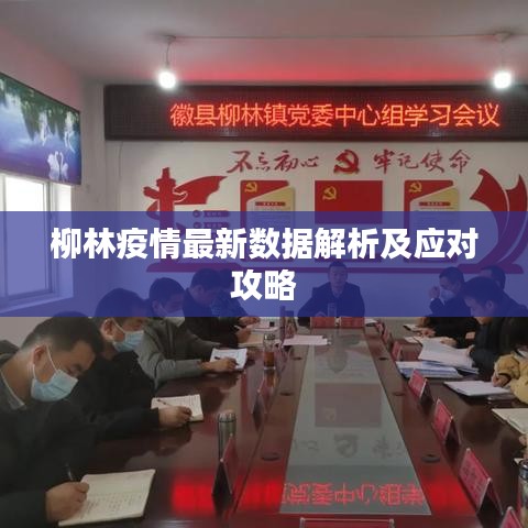 柳林疫情最新数据解析及应对攻略