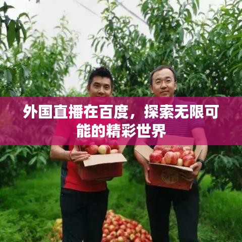 外国直播在百度，探索无限可能的精彩世界