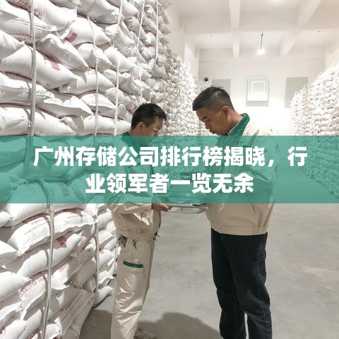 广州存储公司排行榜揭晓，行业领军者一览无余