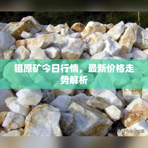钼原矿今日行情，最新价格走势解析