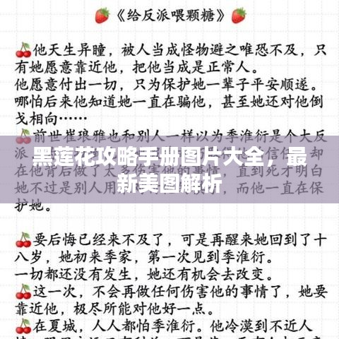黑莲花攻略手册图片大全，最新美图解析