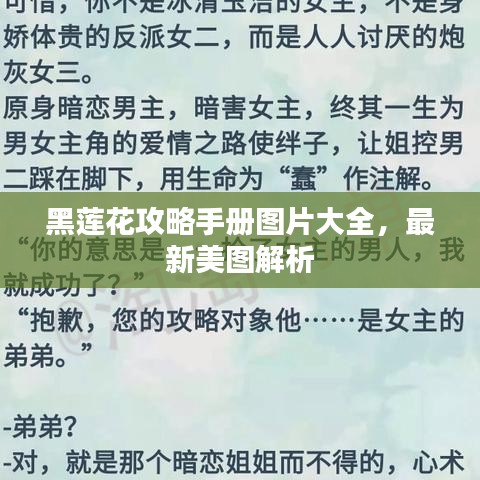 黑莲花攻略手册图片大全,最新美图解析