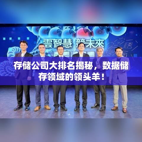 存储公司大排名揭秘，数据储存领域的领头羊！