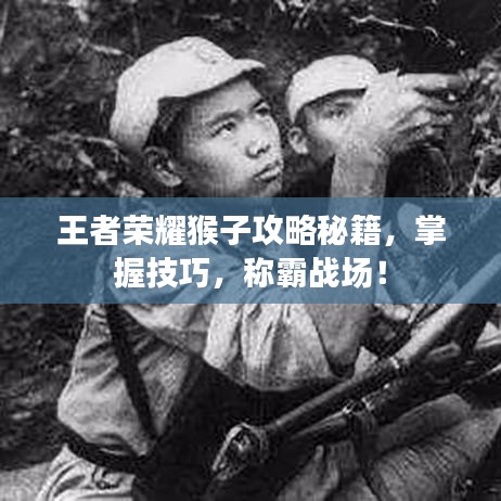 王者荣耀猴子攻略秘籍，掌握技巧，称霸战场！