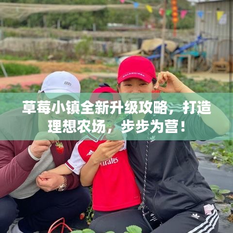 草莓小镇全新升级攻略,打造理想农场,步步为营!