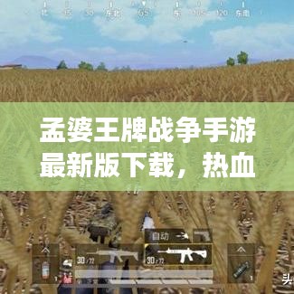 孟婆王牌战争手游最新版下载，热血战场，全新体验等你来战！