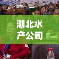 湖北水产公司排名揭秘,行业领军者一览