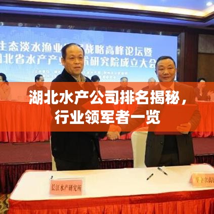 湖北水产公司排名揭秘,行业领军者一览